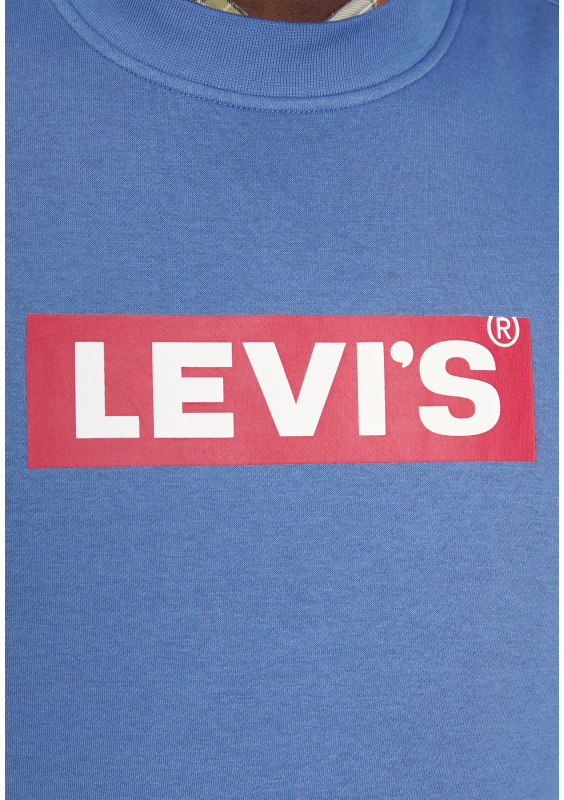 Levi's® Plus BIG RELAXED GRAPHIC CREW - Bluza