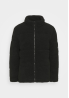 Common Kollectiv Kurtka zimowa teddy miś