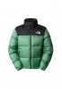 The North Face Kurtka Nuptse 199 6GREEN NF700ANJG
